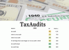 TaxAudits.org logo